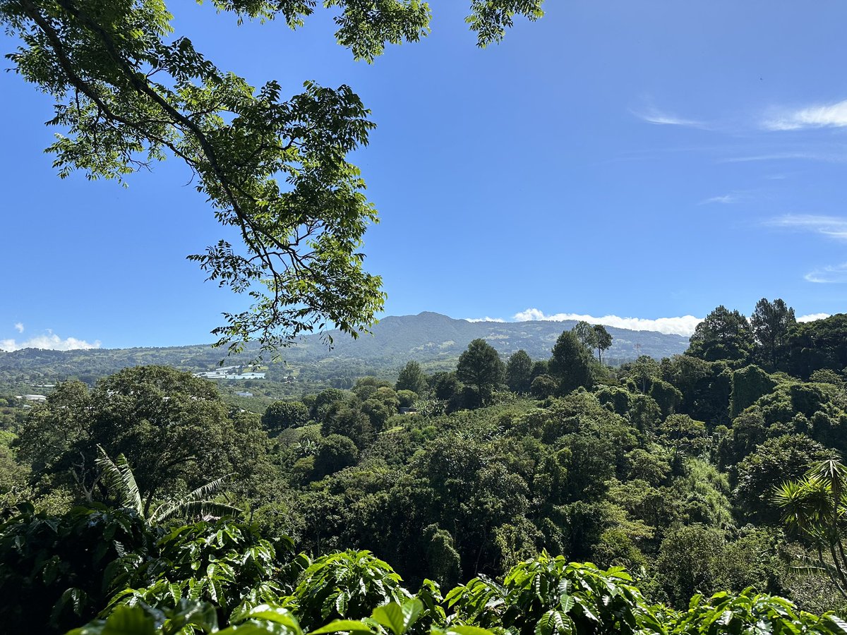 Delaying #Deforestation regulation is a step backward in the fight against climate change. 

#EUDR delay puts 80,000 acres of forest at risk daily, fuels 15% of global carbon emissions, breaks trust with our global partners &amp; damages our credibility on climate commitments.