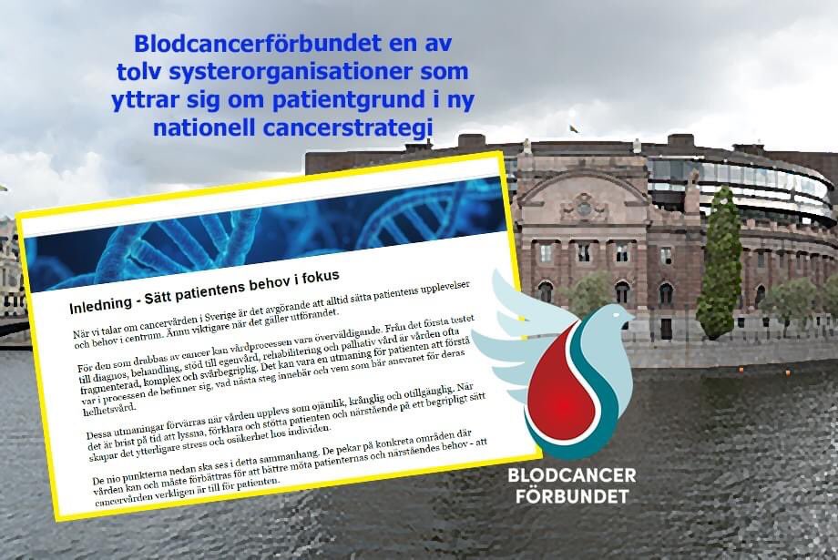 BCF_1982's tweet image. Patientens upplevelse och behov måste alltid vara i centrum. 12 org. har enats om grunden till uppdaterad nationell cancerstrategi: 
lnkd.in/dnq2fc_2

#folkhälsodalen#patientriksdagen #funktionsratt #natverketmotcancer #almedalen #fokuspatient #lif #cancerfonden #RCC