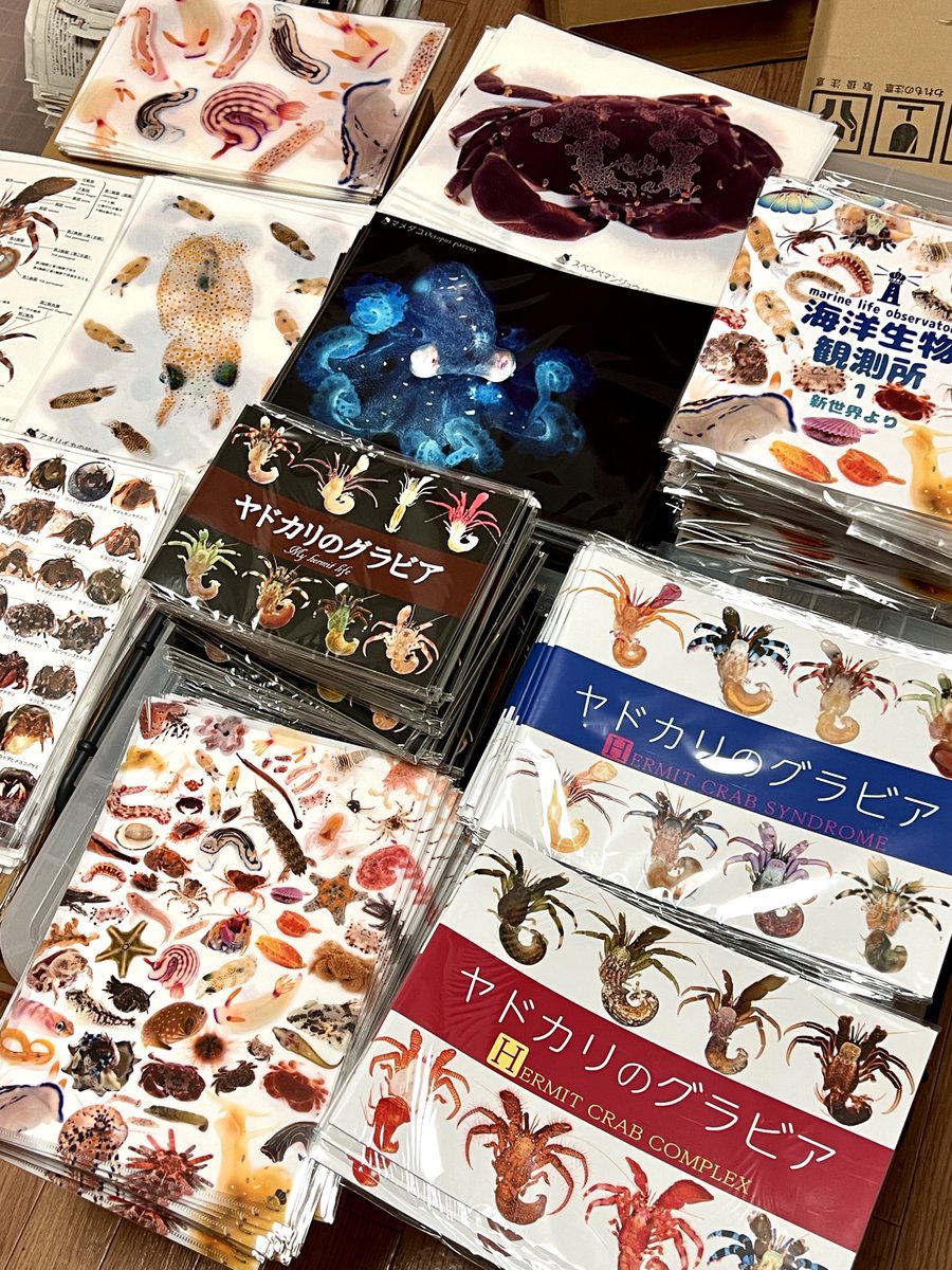 hirokoponシーグラスアートno.２ シーグラスアートhirokopon no.88 hirokoponシーグラスアート No