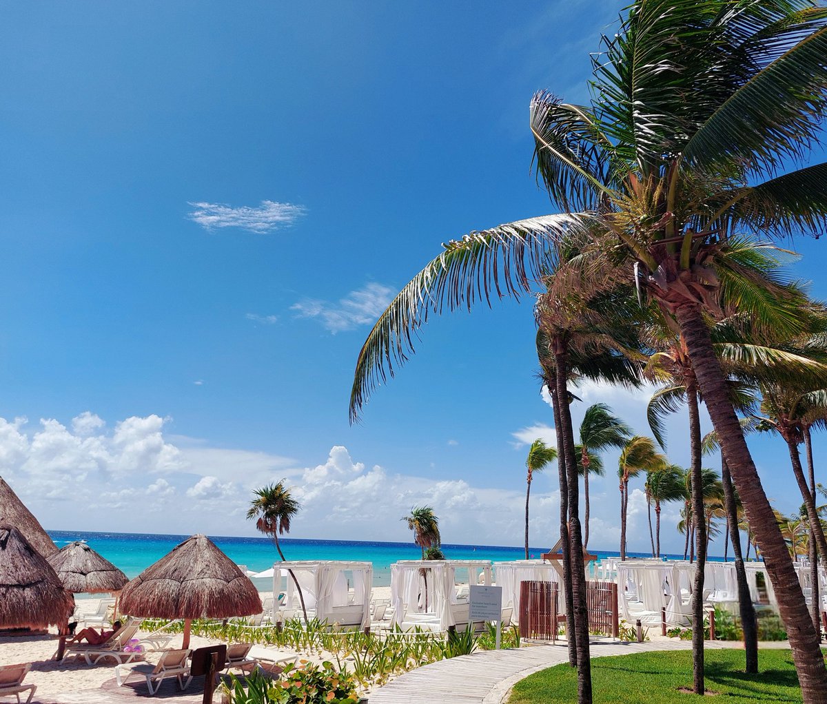 Olaf Schmidt (@olaf1893) on Twitter photo 