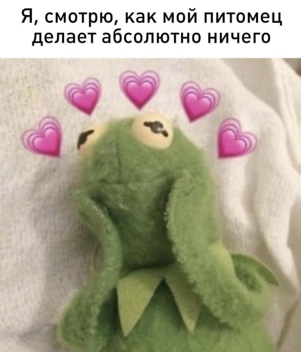 🐸жабья принцесса👑 (@kxiq7u7oc8nsgnc) on Twitter photo 