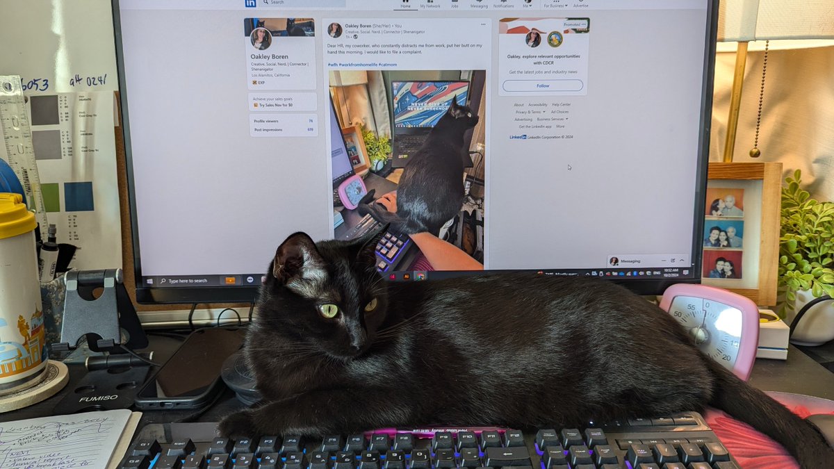 I already reported her to HR for putting her butt on my hand. And now this: