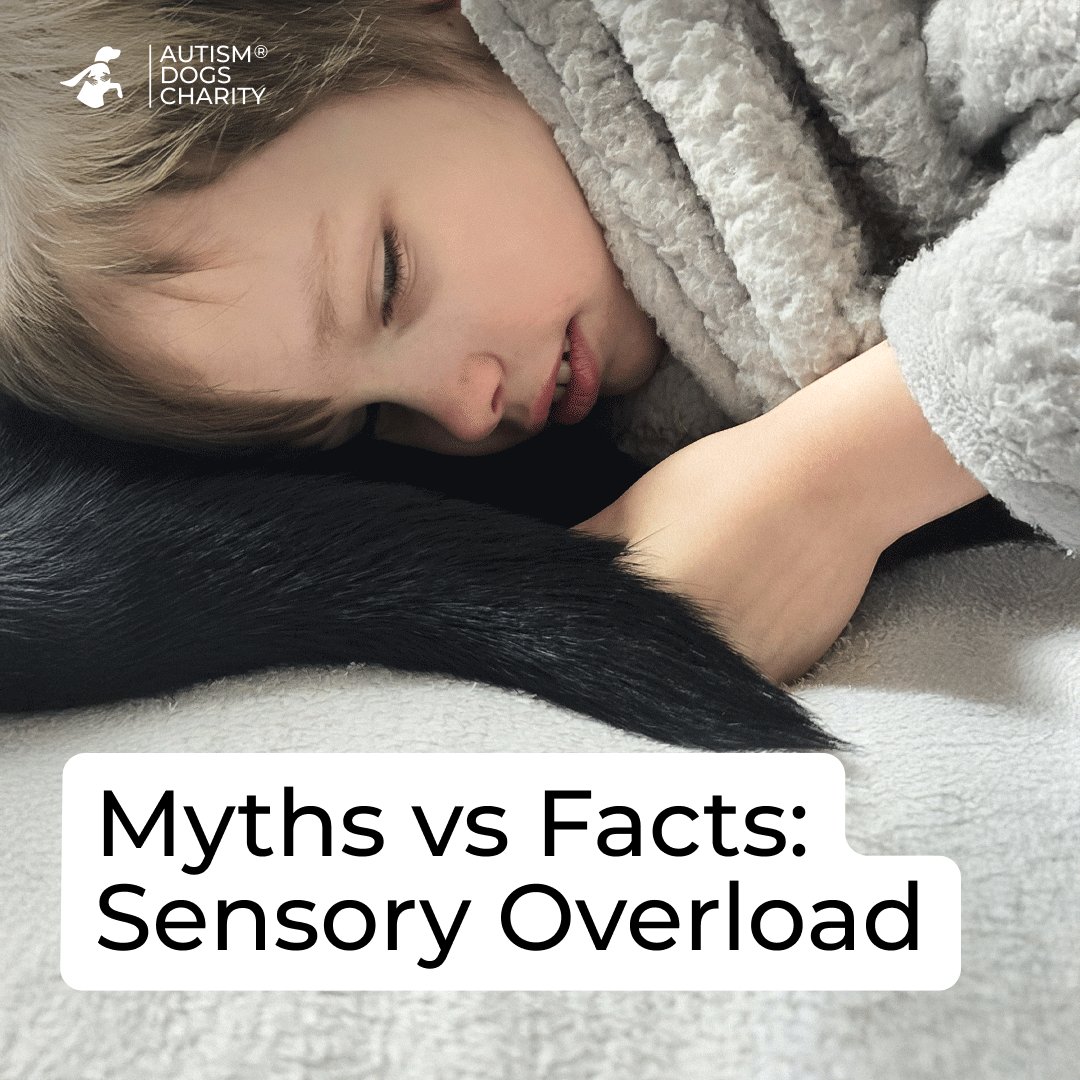 🚫 Myth: #SensoryOverload is just emotional.
💡 Fact: It's a neurological response where the brain struggles with too much input. Not just 'willpower'.
Tips to cope:
🎧 Noise-cancelling headphones
🧸 Weighted blankets
🐾 Assistance dogs
🌿 Quiet spaces

What helps you? Share! 💙