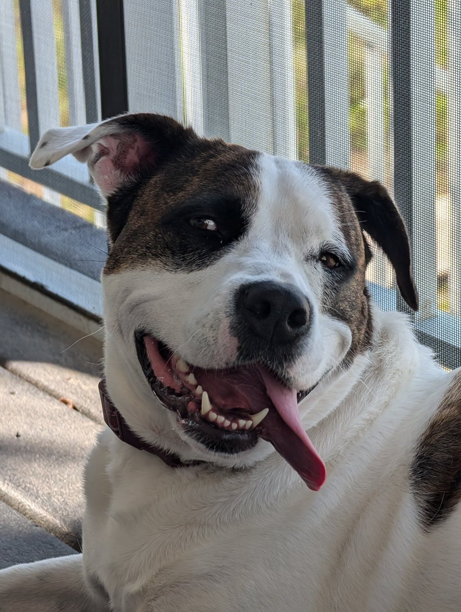 BUZZ: Hey Quinnie

QUINNIE: Yeah? 

BUZZ: Why should you wear glasses in math class? 

QUINNIE: hmmmm, I don’t know, why? 

BUZZ: Because it helps with da-vision!!!!!

🤣😂🤣😂🤣😂🤣😂🤣🤣🤣😂🤣🤣🤣😂🤣