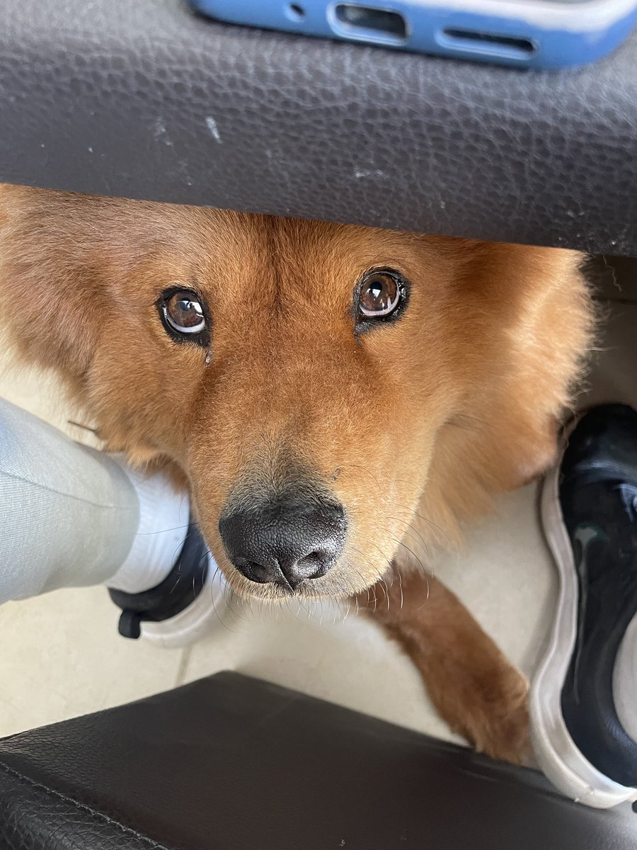 alexandrokun's tweet photo. ¿Me vas a dar o no hdlv? 🥲🥹 https://t.co/dzjSh6HbnT