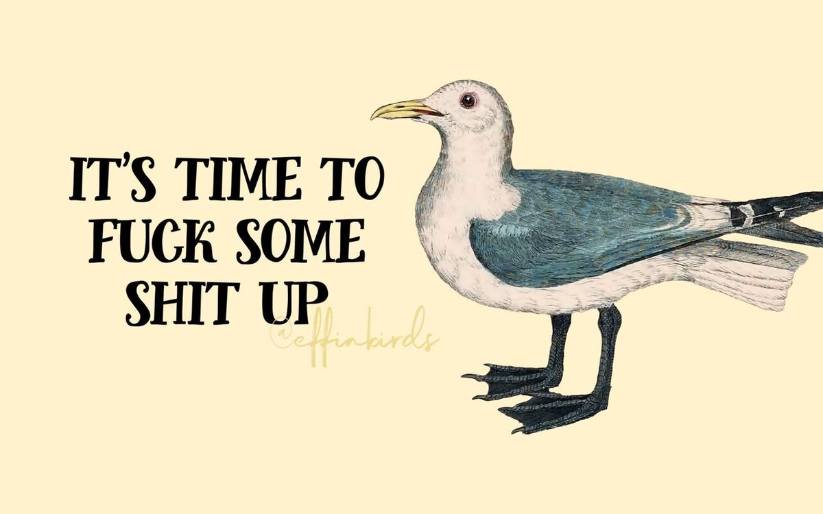 EffinBirds's tweet image. 