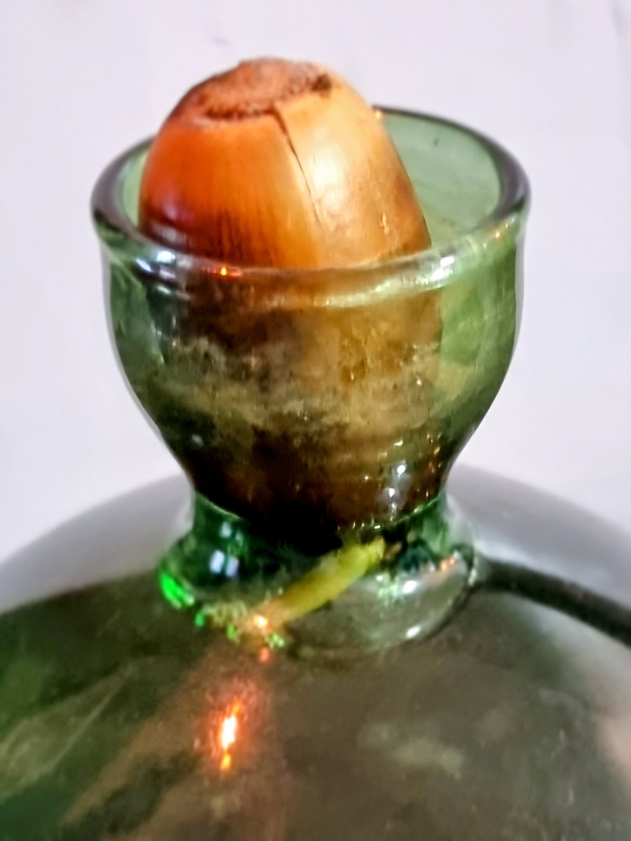 metalheron's tweet image. Time to grow an Oak Tree.
The best time was 20 years ago.
The next best time is now. 🌳 
#acornvase
#ilexstudio 
#WindowOnYourWorld
#MellowMagicDigital 
@LynnParsonsUK