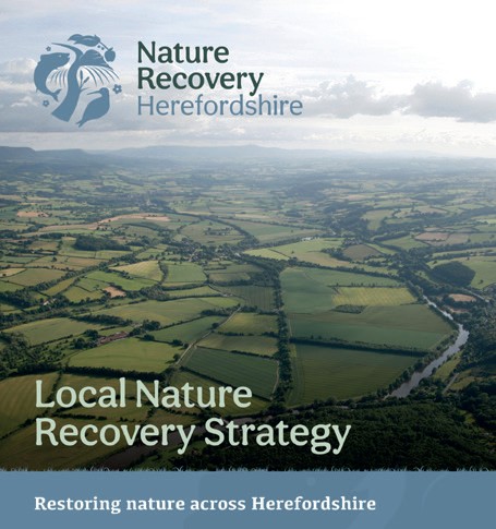Greener Footprints Herefordshire (@greener_feet) on Twitter photo Deadline extended! There's still time to take part in Herefordshire's Nature Strategy survey - closing date now Tuesday 15 October. Have your say on restoring nature across Herefordshire.
Find out more at: herefordshire.gov.uk/conservation-1…
<a href="/HfdsCouncil/">HerefordshireCouncil</a> <a href="/FarmHereford/">Farm Herefordshire</a> <a href="/HfdsGN/">Hfds Green Network</a> <a href="/RuralMedia/">Rural Media</a> Deadline extended! There's still time to take part in Herefordshire's Nature Strategy survey - closing date now Tuesday 15 October. Have your say on restoring nature across Herefordshire.
Find out more at: herefordshire.gov.uk/conservation-1…
<a href="/HfdsCouncil/">HerefordshireCouncil</a> <a href="/FarmHereford/">Farm Herefordshire</a> <a href="/HfdsGN/">Hfds Green Network</a> <a href="/RuralMedia/">Rural Media</a>