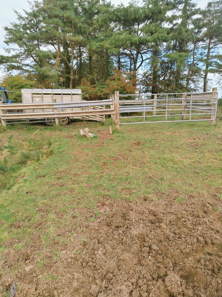 New pen erected today, will certainly ease the pain of moving stock to and from this field...crash barriers and ESB poles...gates can be added or taken down between all the poles for sorting...great job!