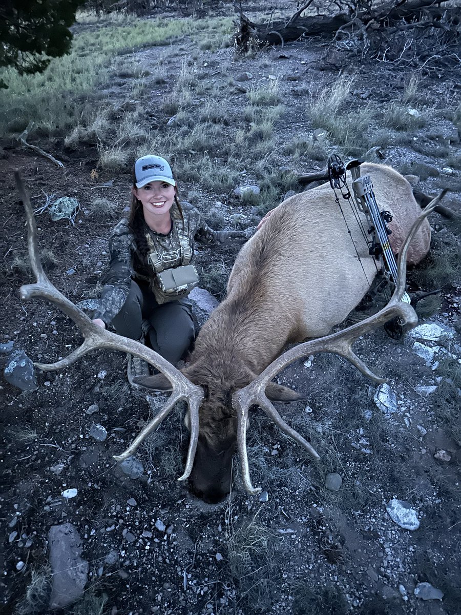 My NM Public Land Archery Elk 🖤
