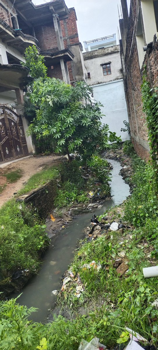 Patel3107's tweet photo. @CMOfficeUP @myogiadityanath @uppwdofficial आदरणीय मुख्यमंत्री जी कृपया ध्यान आकृष्ट करने की कृपा की जाय। क्षेत्रवासियों द्वारा किए गए तमाम प्रयास के बावजूद भी अभी यहां के लोग बज बजाते रोड और नाली के आसपास रहने को मजबूर हैं जिससे आए दिन तमाम संक्रामक बीमारियों का खतरा बना रहता है।🙏🏻 https://t.co/bmQpJ9zv6D