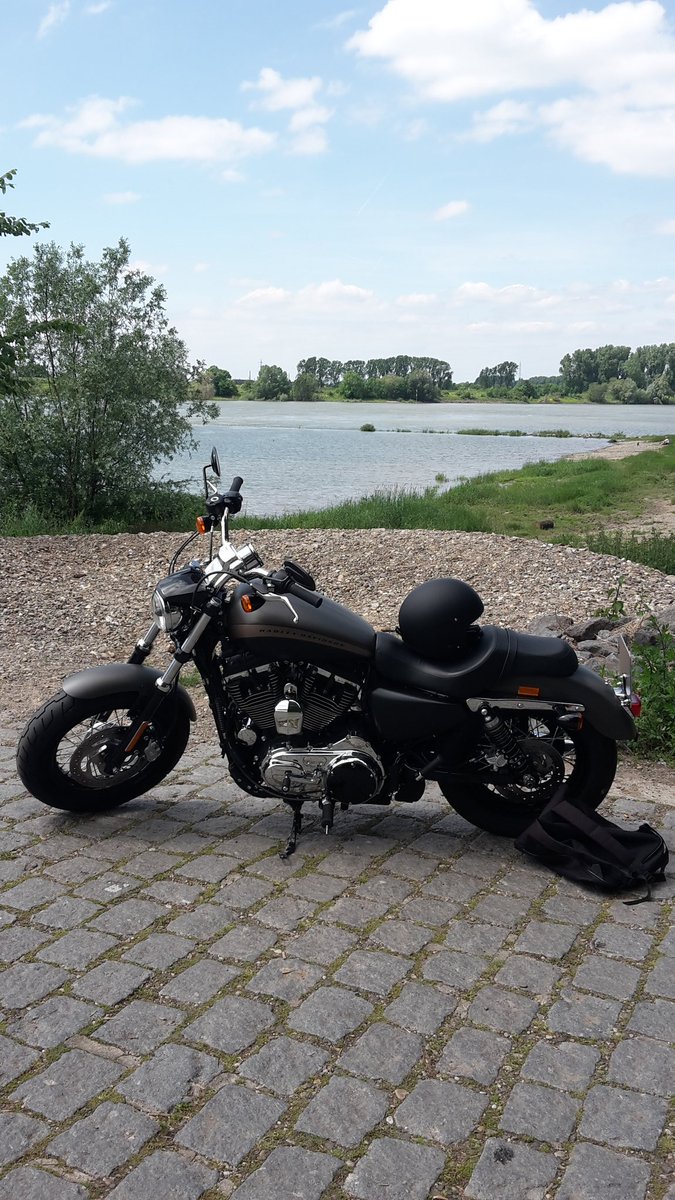 MF1985's tweet image. Wer hätte 🐏 drauf❓️