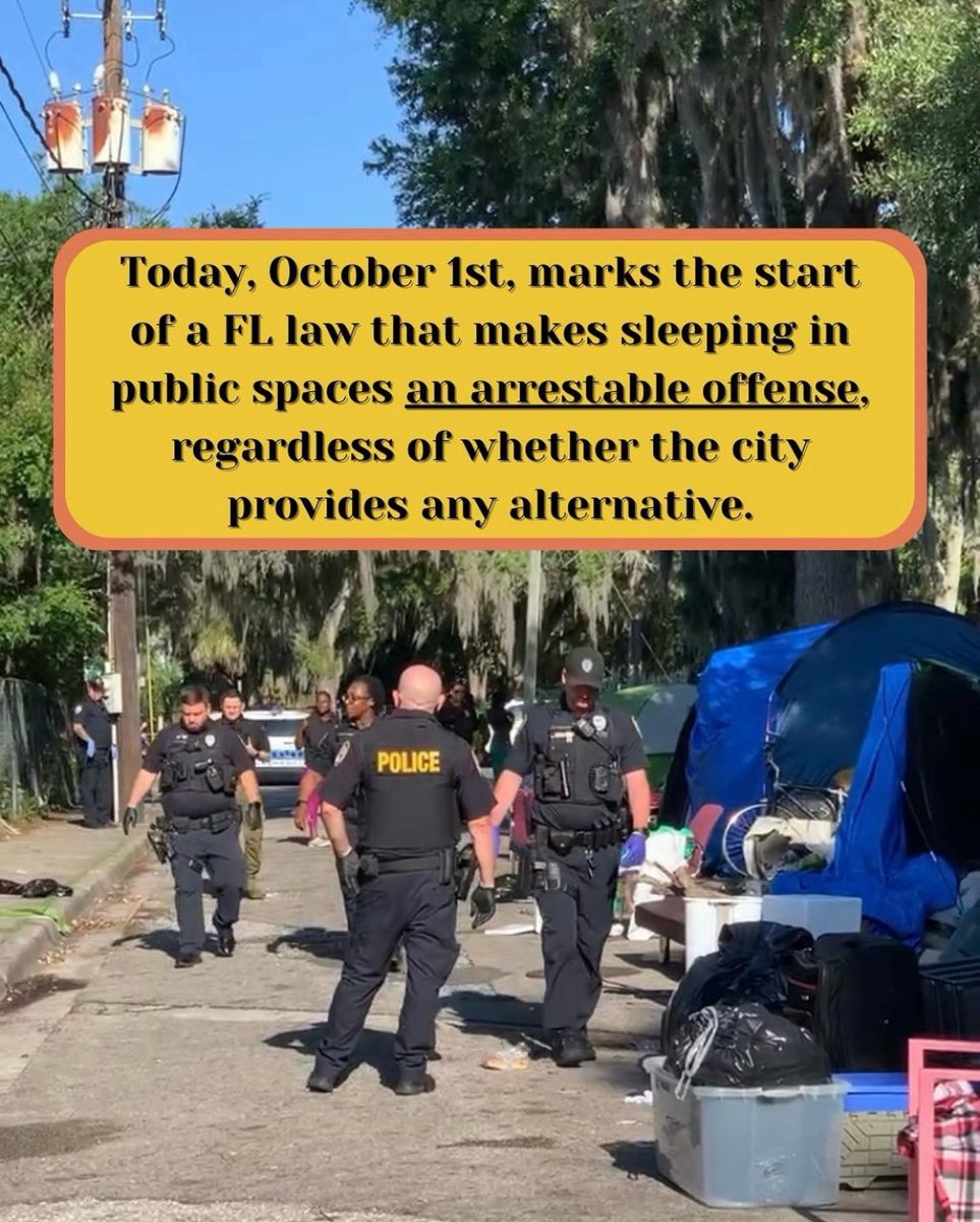 Quil Darling tweet media