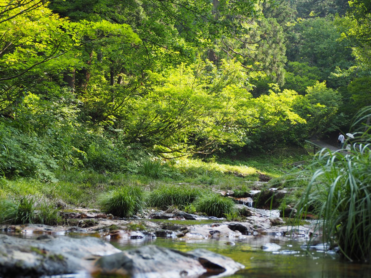 rysm_wd's tweet photo. 銀山温泉周辺で一番好きなのは、温泉手前の絵に描いたような田園風景と滝の先にあるエリアだったな。 https://t.co/On5Isd9RdS