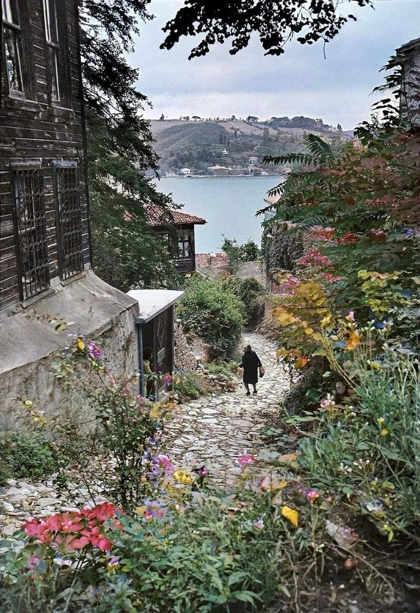 evrenseImerak's tweet photo. Gerçek İstanbul böyleydi...

Rumelihisarı Sokakları, 1962.
📸: Ara Güler. https://t.co/0XajtnpVWQ