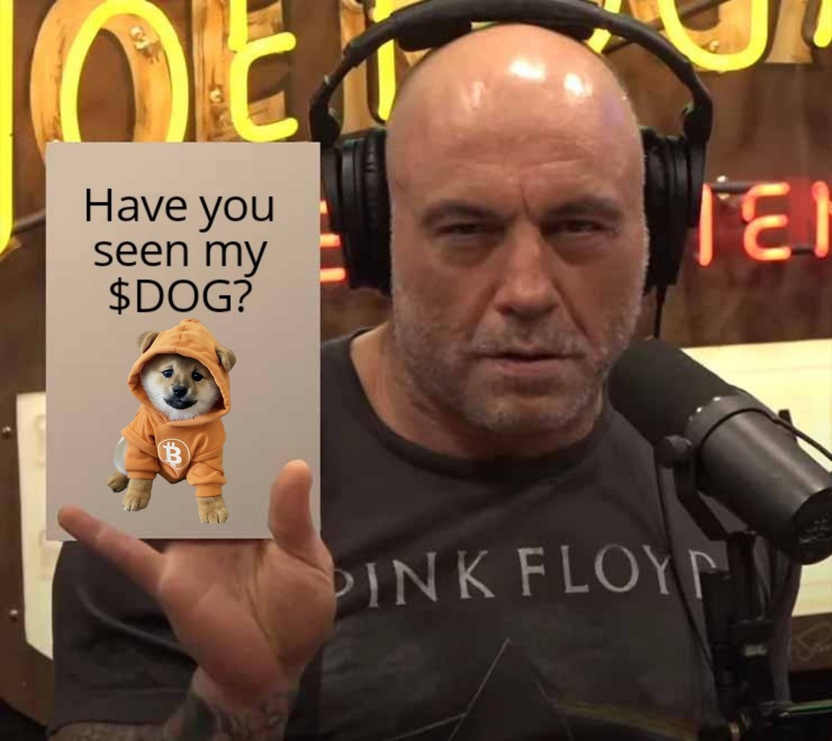 Hey <a href="/joerogan/">Joe Rogan</a>, I hope you're doing well. 

There is a really good story/narrative forming in crypto on the #Bitcoin blockchain. The #Runes protocol allows for fungible tokens to be etched directly onto Bitcoin. The #1 rune is DOG•GO•TO•THE•MOON or $DOG. I highly recommend you