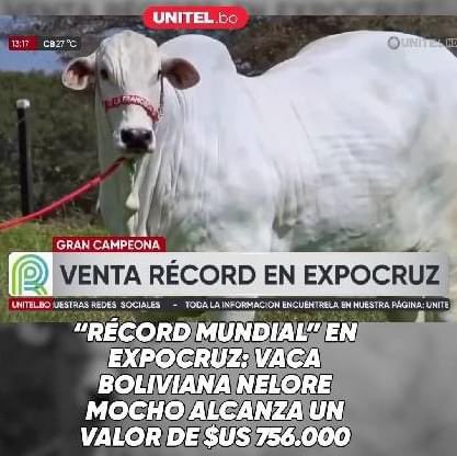 ¿Por qué no facturan los ganaderos de Expocruz? 

Apunte de <a href="/ColqueG/">Gonzalo Colque</a> 👇