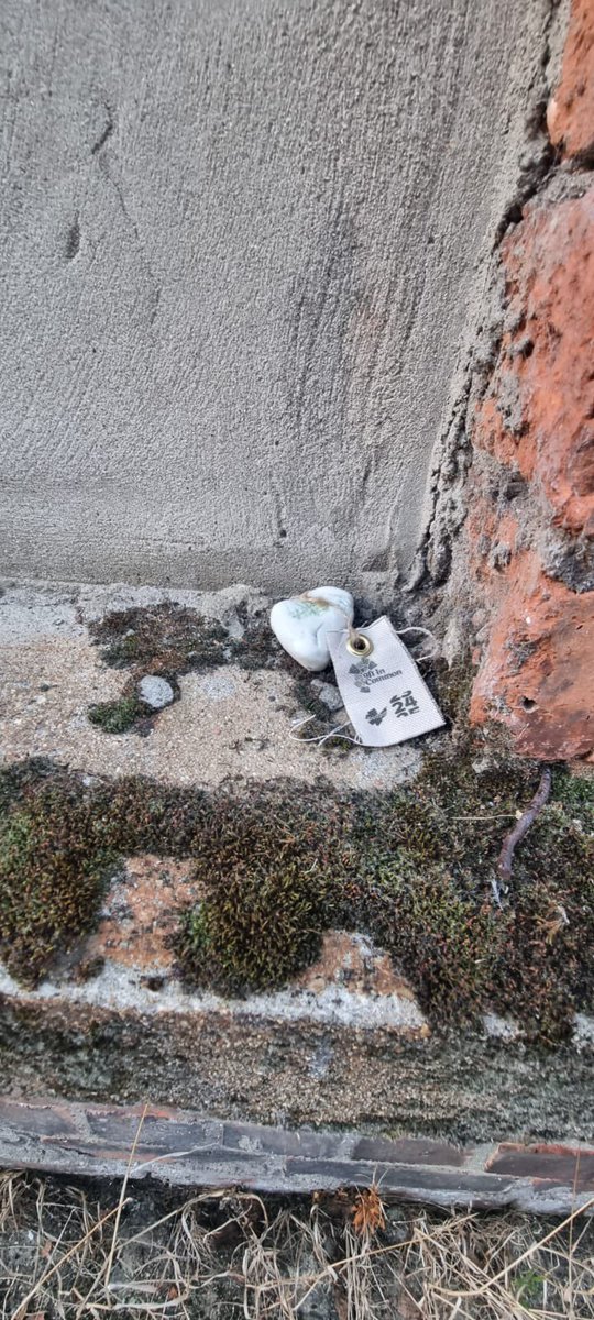 The first of our 202 porcelain hagstones have been hidden in Belfast’s alleyways as we attempt to walk all 202km of alley in the city. What an adventure! 
#hagstone #alleyway