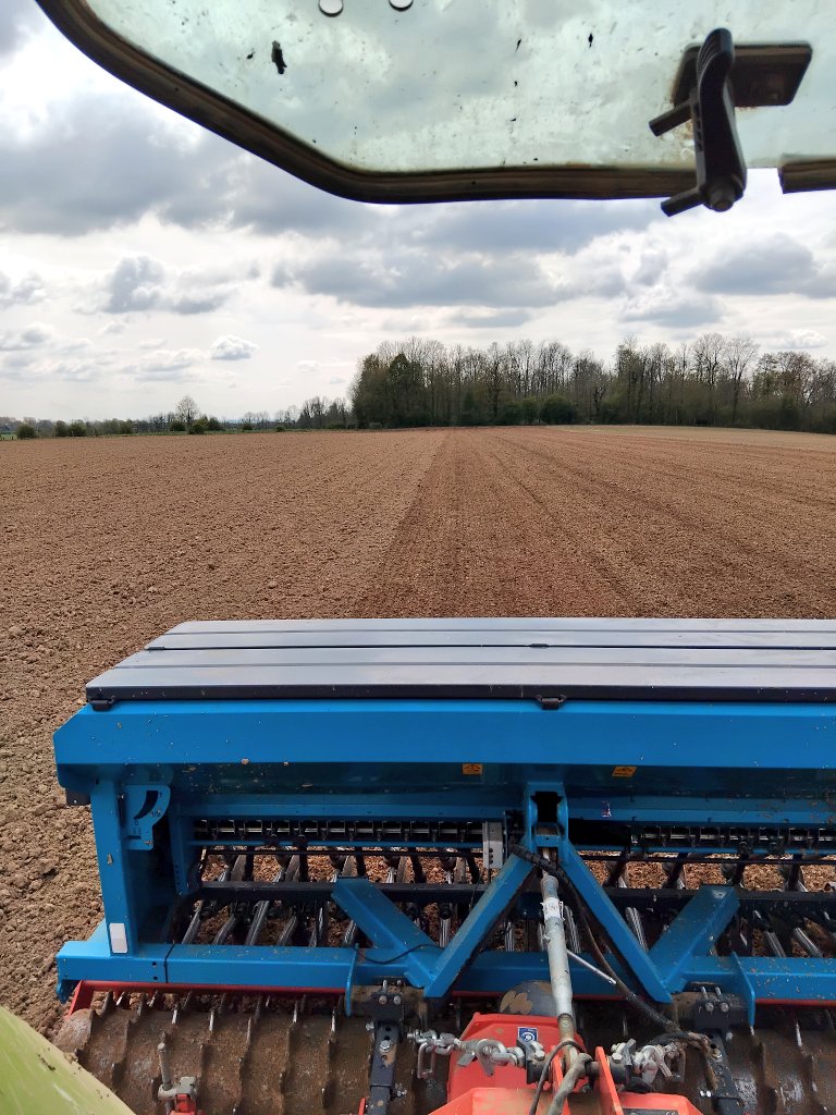 Feu pour DD le grain de blé en fin de semaine !? 🌾✅️ 
1 à 2 journée de travail à prévoir,malheureusement la charrue sera de sortie pour emblaver les premiers hectares... encore 26mm reçu sur les 2 derniers jours 🌧
