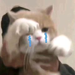 @77diandian https://t.co/v1TIfdaJe9