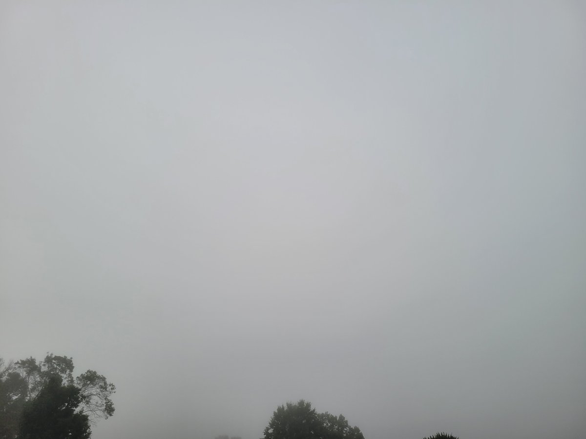 TooLateBlue's tweet image. They sure have! Woke up to a crazy fog this morning and when it finally cleared it looks like our geoengineered cloud cover has broken for a while ✈️☁️

The permahaze around the sun is stronger than ever though #SilverSky