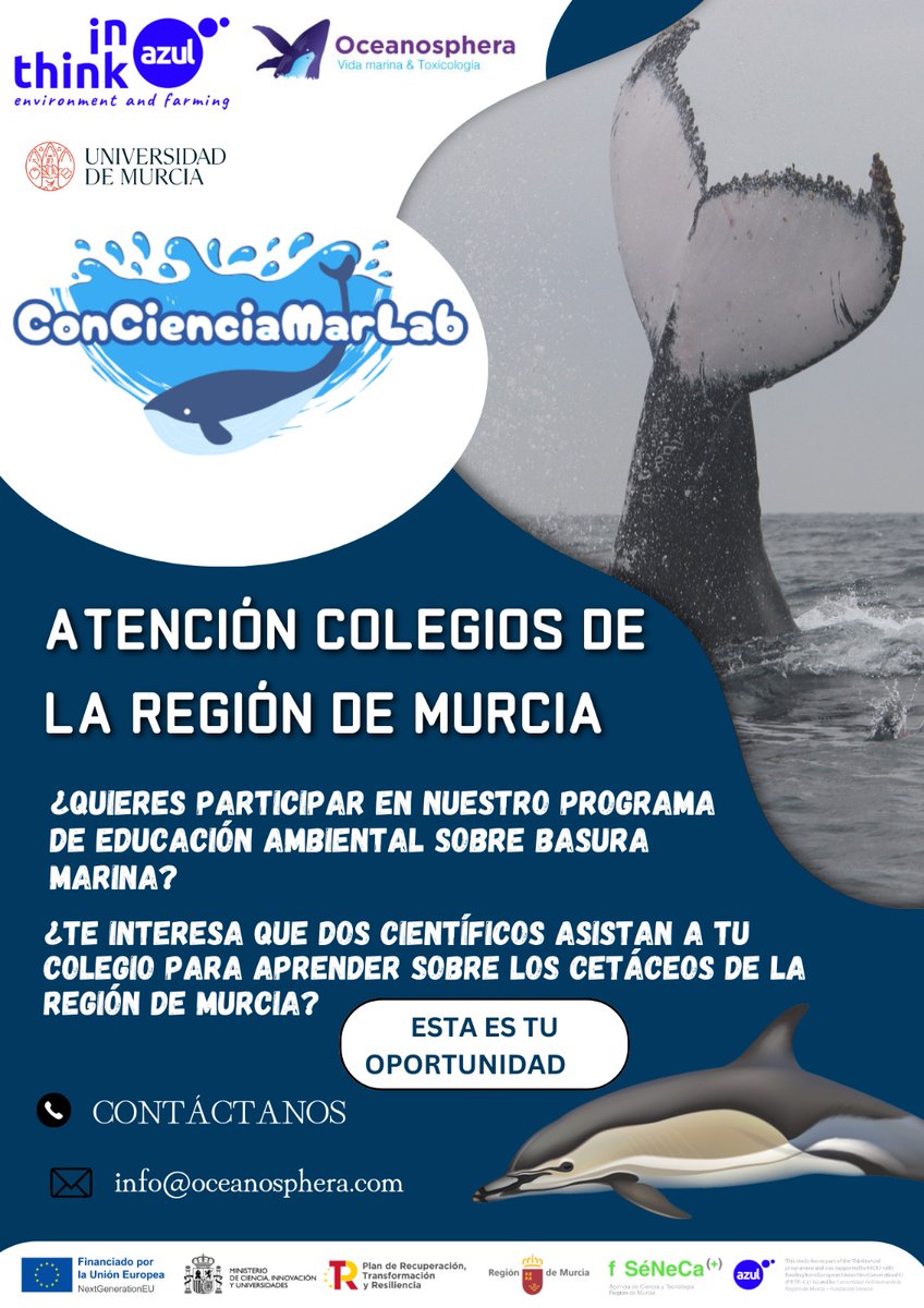 Oceanosphera (@oceanosphera) on Twitter photo Nuevo proyecto #ThinkinAzul, #ConCienciaMarLab. Queremos acercar a los más pequeños a los habitantes del mar y cómo las #basurasmarinas pueden afectar a su bienestar. info@oceanosphera.com.
<a href="/UMUdivulga/">UMU Divulga</a>
<a href="/FundacionSeneca/">Fundación Séneca</a>
#océanos #cetáceos #ciencia #Investigación Nuevo proyecto #ThinkinAzul, #ConCienciaMarLab. Queremos acercar a los más pequeños a los habitantes del mar y cómo las #basurasmarinas pueden afectar a su bienestar. info@oceanosphera.com.
<a href="/UMUdivulga/">UMU Divulga</a>
<a href="/FundacionSeneca/">Fundación Séneca</a>
#océanos #cetáceos #ciencia #Investigación