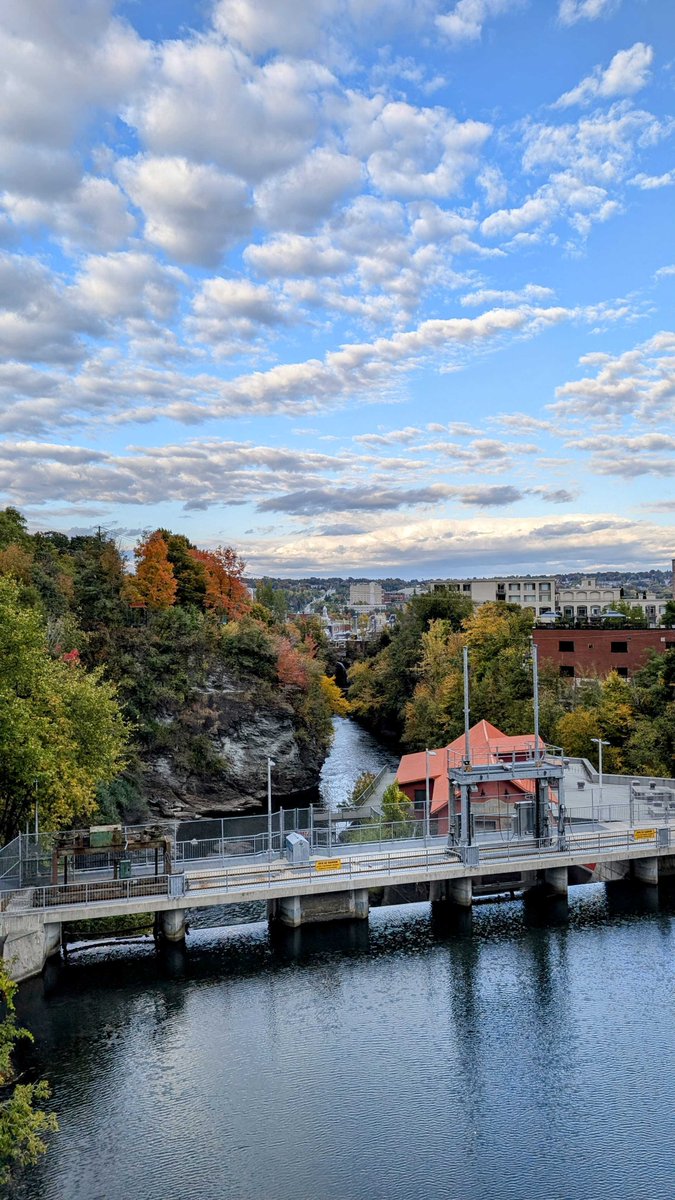 The colours of the Fall are slowly taking over in #Sherbrooke!

As the LOC continues to prepare for your fabulous visit in July 2025, we recently had the pleasure of hosting <a href="/CSEE_SCEE/">CSEE_SCEE</a> VP <a href="/evoecolab/">Marc Johnson</a>!

Keep an eye out for the upcoming #Workshop and #Symposium applications details.
