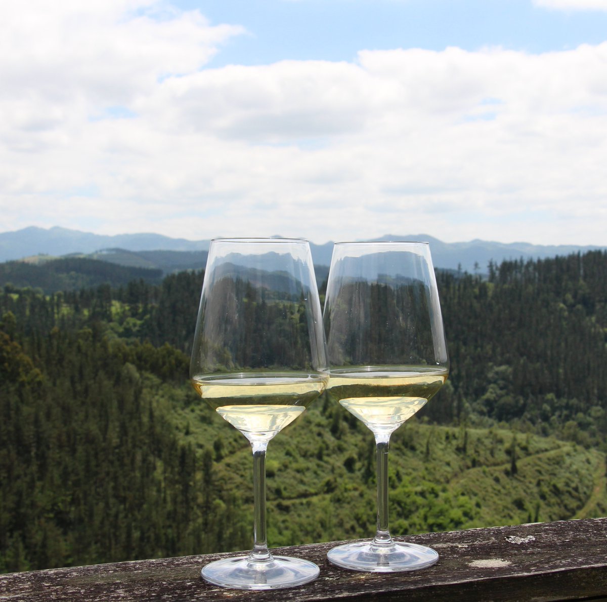 ¿Sabías que disfrutar de una copa de vino puede tener beneficios para tu salud? Y si es Txakoli, ¡mejor aún!
Descúbrelos todos: instagram.com/p/DAl6y3GvKF-/