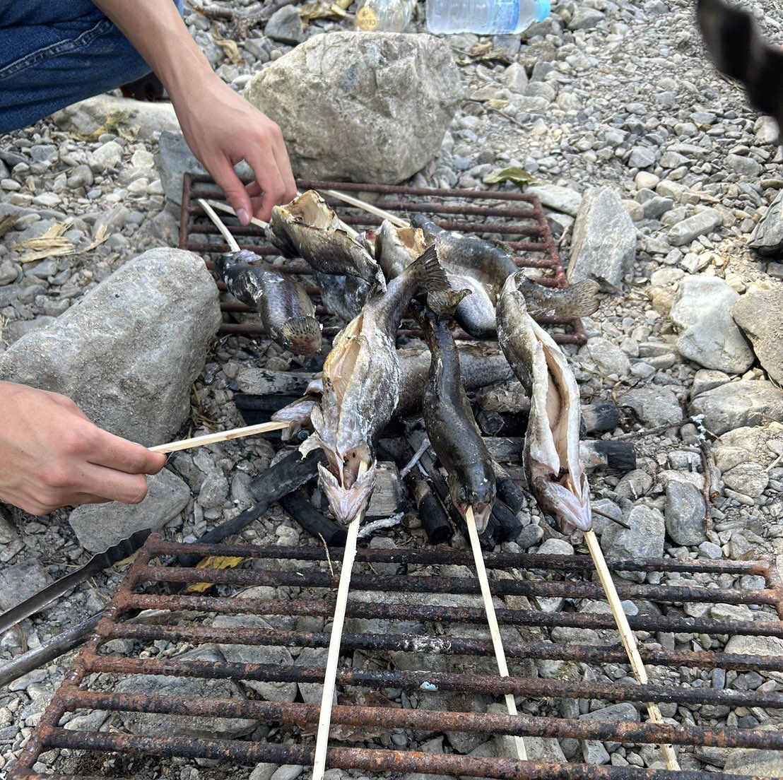 Anglers1223's tweet photo. 2024年8回目の活動は9月14日に北浅川恩方ます釣場で釣りを行いました❗️

ルアーフィッシングでニジマス釣りを行いました🎣🐟初心者でも簡単に釣ることができ、釣った魚はその場で焼いて食べました✨🤤 https://t.co/XsePSnsEEd