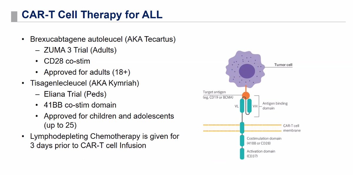 UTSWTxID (@utswtxid) on Twitter photo An amazing tag-team presentation on cutting edge management of AML and ALL from <a href="/madanatyazan/">Yazan Madanat, MD</a> and @VIrizarryGatell for our Transplant ID lecture series! <a href="/RicardoLaHozMD/">Ricardo M. La Hoz</a> <a href="/chrislarsenmd/">Christian Larsen</a> @VBeechar <a href="/Hanineelhaddad/">Hanine El Haddad</a> An amazing tag-team presentation on cutting edge management of AML and ALL from <a href="/madanatyazan/">Yazan Madanat, MD</a> and @VIrizarryGatell for our Transplant ID lecture series! <a href="/RicardoLaHozMD/">Ricardo M. La Hoz</a> <a href="/chrislarsenmd/">Christian Larsen</a> @VBeechar <a href="/Hanineelhaddad/">Hanine El Haddad</a>
