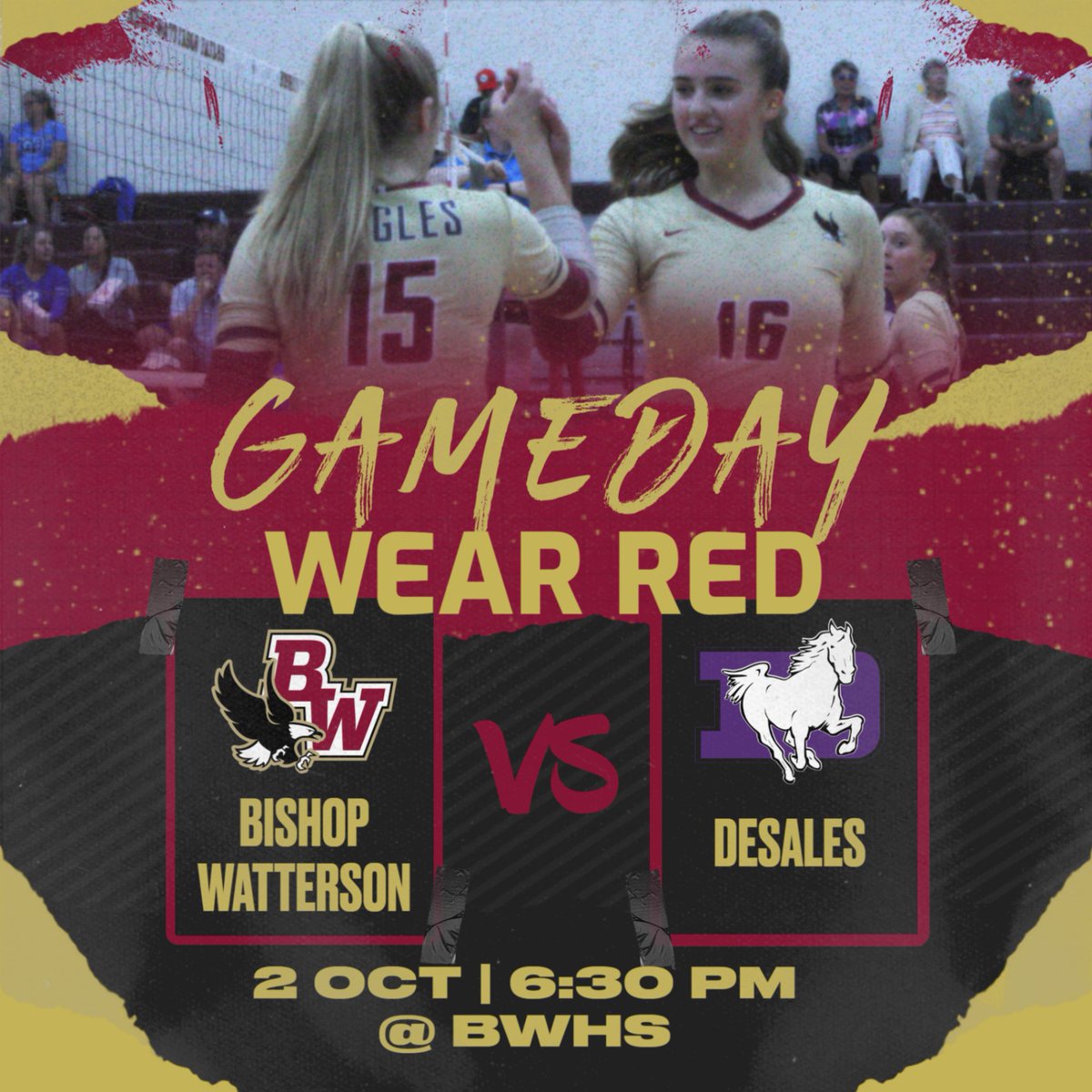 The #LadyEagles face the Stallions at home TONIGHT!  Come watch JV/F at 5 PM with Varsity to follow #WE #GoEagles