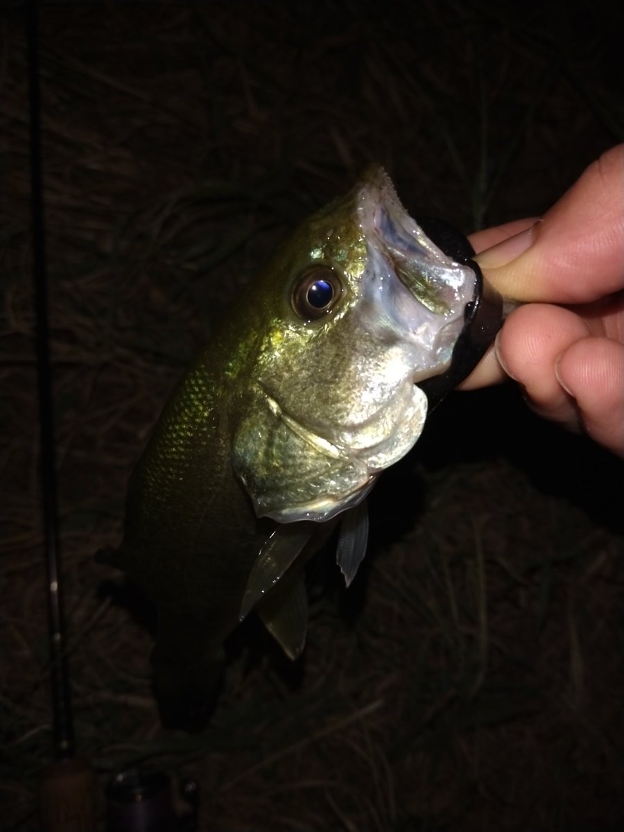 リアやしボロボロやけどええかってかえてなかったらリア食い抜き上げフック折れ、サイズは４５くらい
キャロチビ

#淀川ナイト
#対戦ありがとうございました
