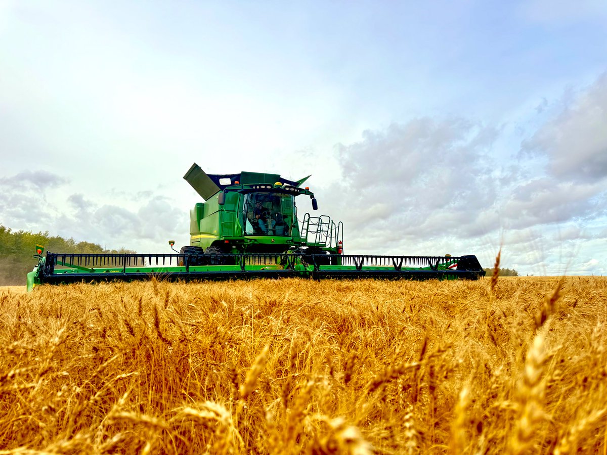 𝓒𝓱𝓻𝓲𝓼𝓽𝓲 tweet media