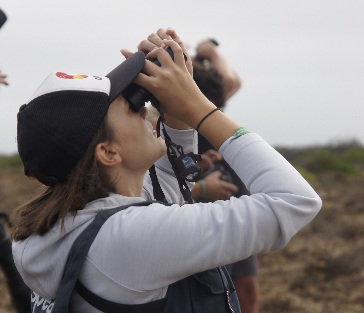 Birdwatching: Festival de Observação de Aves de Sagres é já neste fim-de-semana wilder.pt/diversoes/bird… <a href="/spea_birdlife/">SPEA</a>