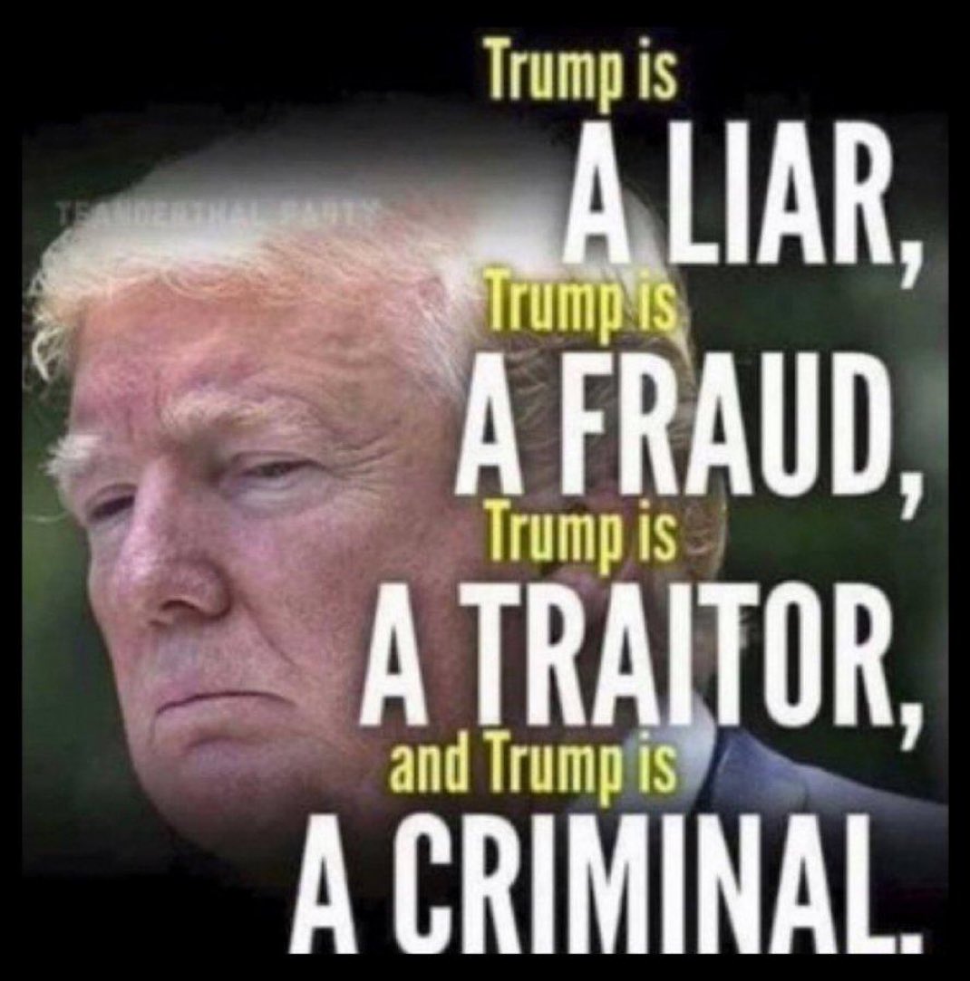 kangaroos991's tweet image. Raise a ✋ if you think he's totally UNFIT to be anywhere near the Oval Office! 🙋‍♂️