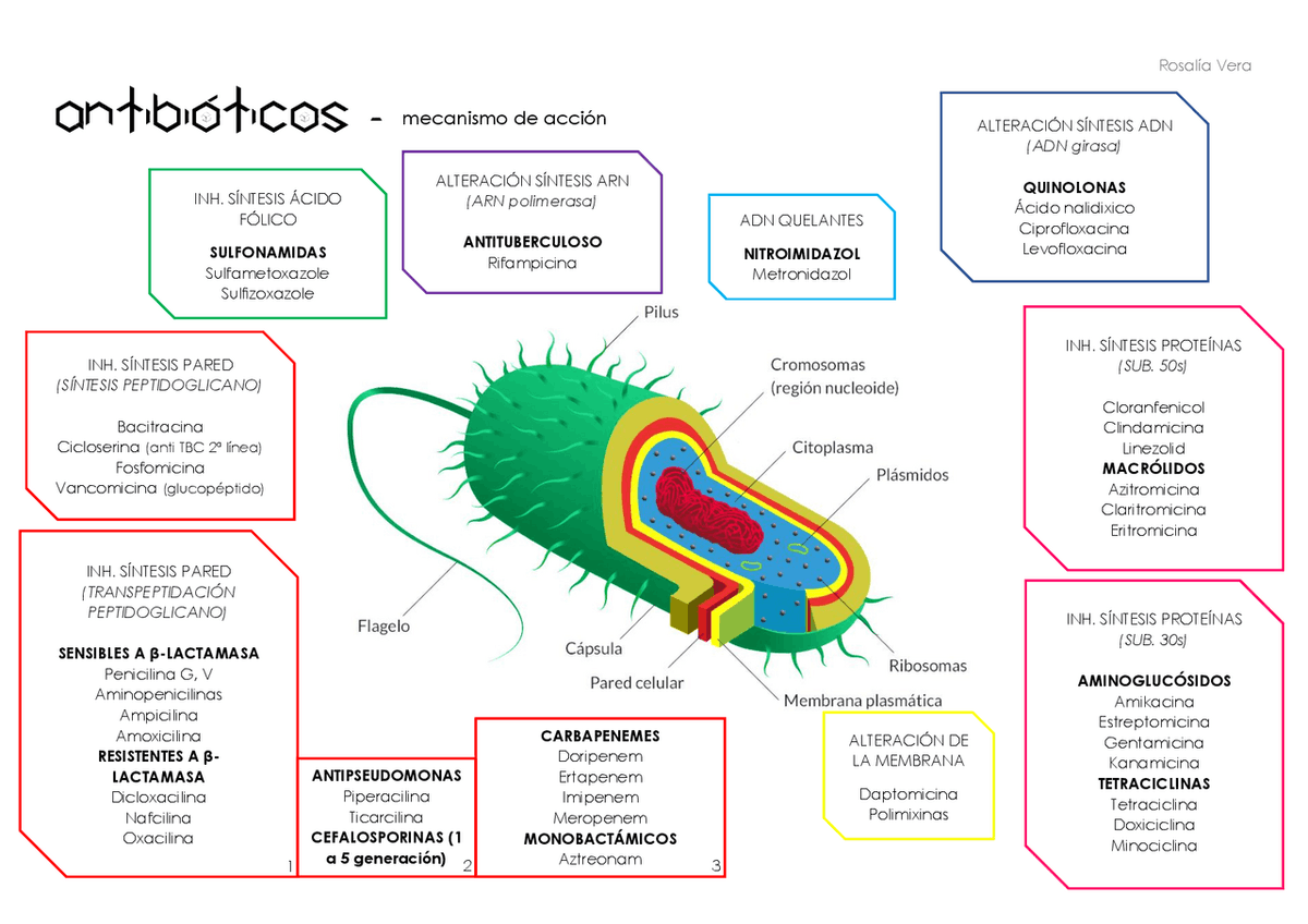 farmacotips's tweet photo. Mecanismo de acción de los antibióticos:

Recuerdalos facilmente: