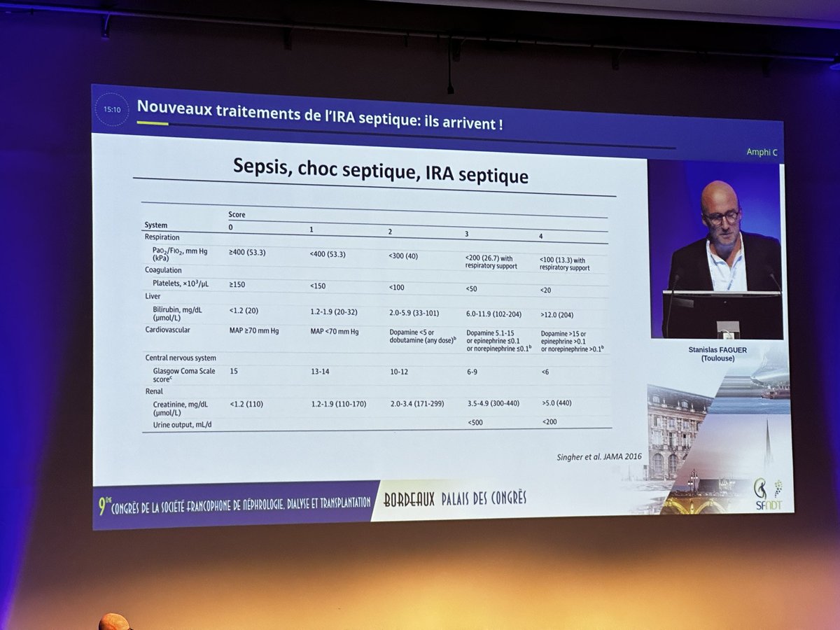 RF-lab members presenting at the French Nephrology meeting in Bordeaux today. Lucie Fernandez presented part of her thesis work on Gliflozins and vascular calcification and Stanislas Faguer presented “What is new in septic AKI treatment”. #SFNDT24
Go Lucie and Stan!!
