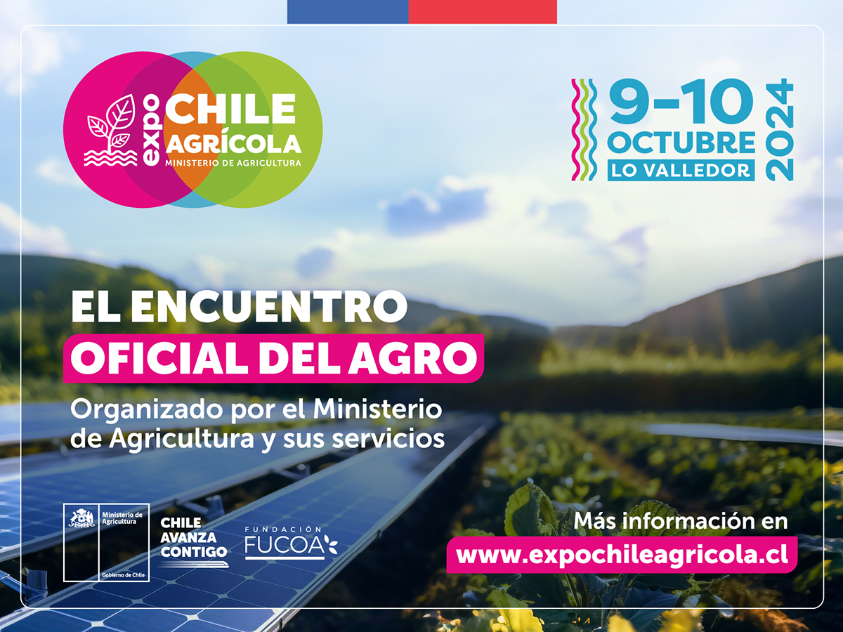 CodesserC's tweet image. #CodesserInforma
Este 9 y 10 de octubre, te invitamos a la #ExpoChileAgrícola, a realizarse en el Mercado Mayorista Lo Valledor. 

#Codesser estará presente una vez más a través de 2 charlas #online. 
Inscripciones aquí:

expochileagricola.cl/te-invitamos-a…