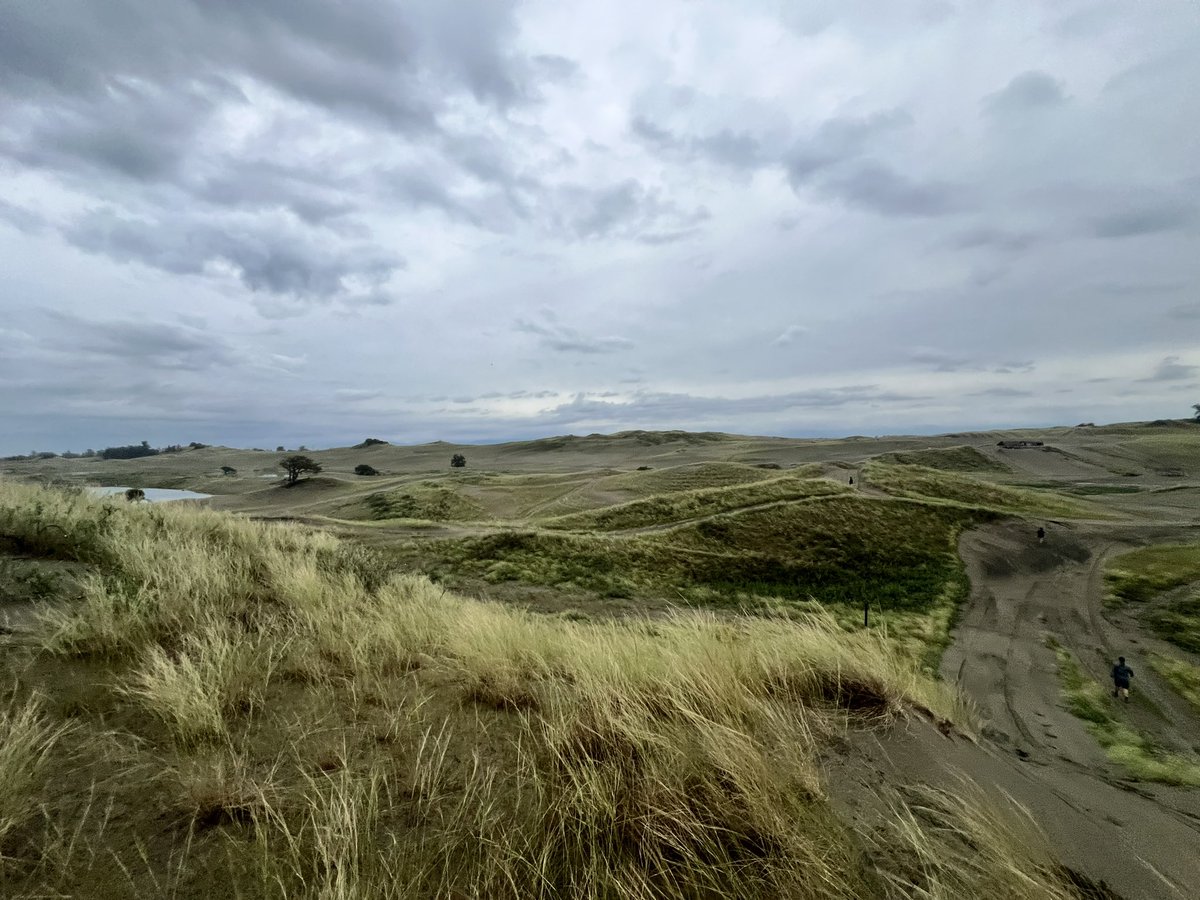 Hannah Spero tweet media