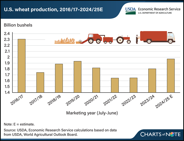 USDA_ERS's tweet photo. U.S. wheat production estimated at highest level in 8 years. Learn more in today's Chart of Note: https://t.co/TJg2MbV4N9. https://t.co/fSEWrbM4Nq