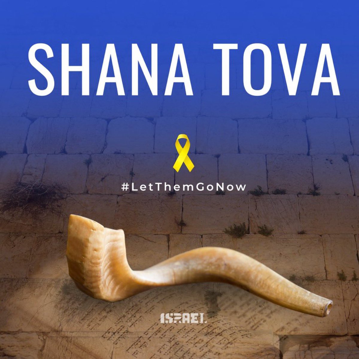 The past year has been one of the most difficult in our country’s history, but through the darkness, we have seen light. 

The people of Israel have shown us the true meaning of resilience and hope. 

Our Jewish brothers and sisters have shown us what kindness, solidarity, and
