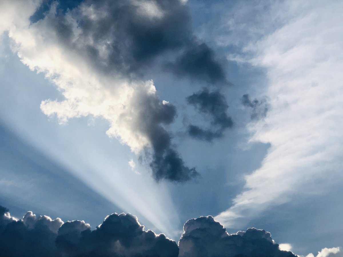 QQ (@linpoza) on Twitter photo 