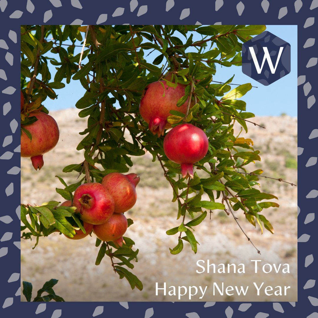 We wish you and your loved ones a Shana Tova - a happy new year. May this year bring happiness, everlasting peace, and scientific breakthroughs for the future of all humanity.