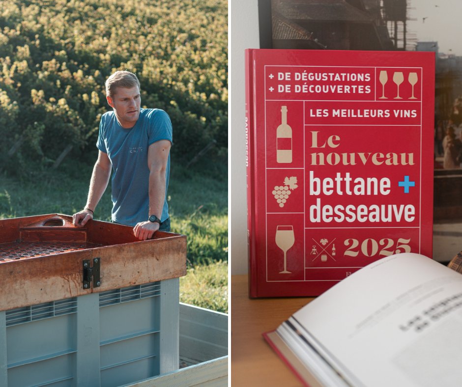 Pour un remake jurassien de Superman, c'est assurément lui qu'on choisirait. Benjamin Benoit a une gueule. Il a aussi une réserve naturelle, une forme de délicatesse [...] Lire la suite dans Le Nouveau Bettane+Desseauve 2025. Disponible en librairie et sur mybettanedesseauve.fr