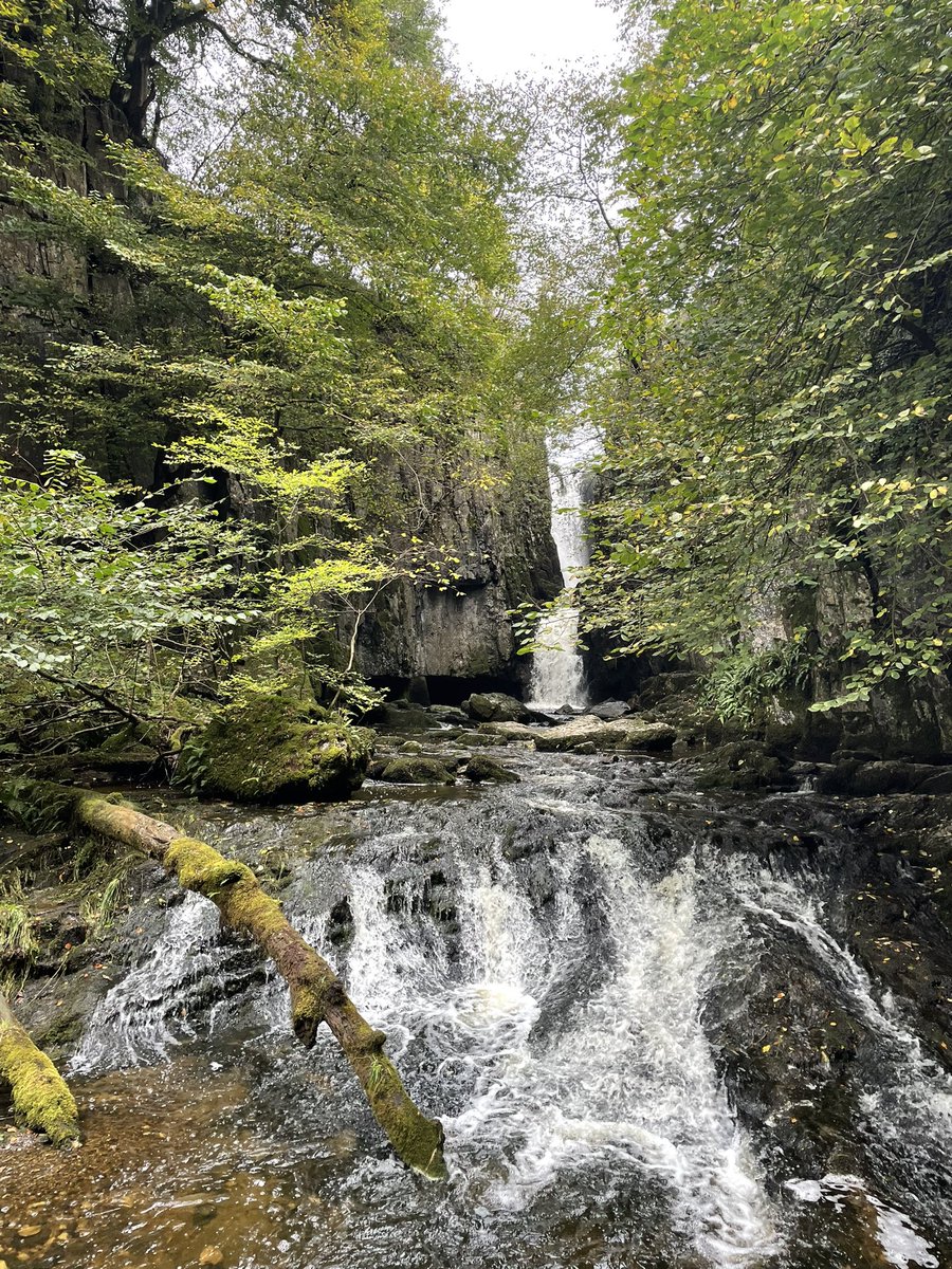 Paul Wood tweet media