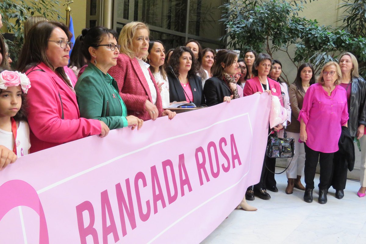 📸Dip. <a href="/HeliaMolina_M/">Helia Molina Milman</a>, <a href="/camila_musante/">Camila Musante - Diputada Distrito 14🌿🇨🇱</a>, Marta González y <a href="/carolamarzan/">Carolina Marzán P.</a>,junto a un grupo transversal de parlamentarias,participan en la creación de la Bancada Rosa, la cual promoverá iniciativas y acciones coordinadas que promuevan mayor prevención y educación en salud oncológica