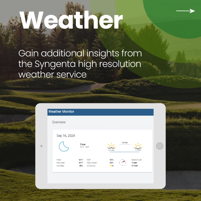 Syngenta_Turf's tweet photo. Ready to unlock the full potential of your Spiio dashboard? ⛳

The Spiio app allows you to analyze real-time data to help you streamline and simplify your decision-making process. Here's how it works. 👇

Discover the digital power of Spiio: https://t.co/GVj3Gzao9c 

#SpiioData