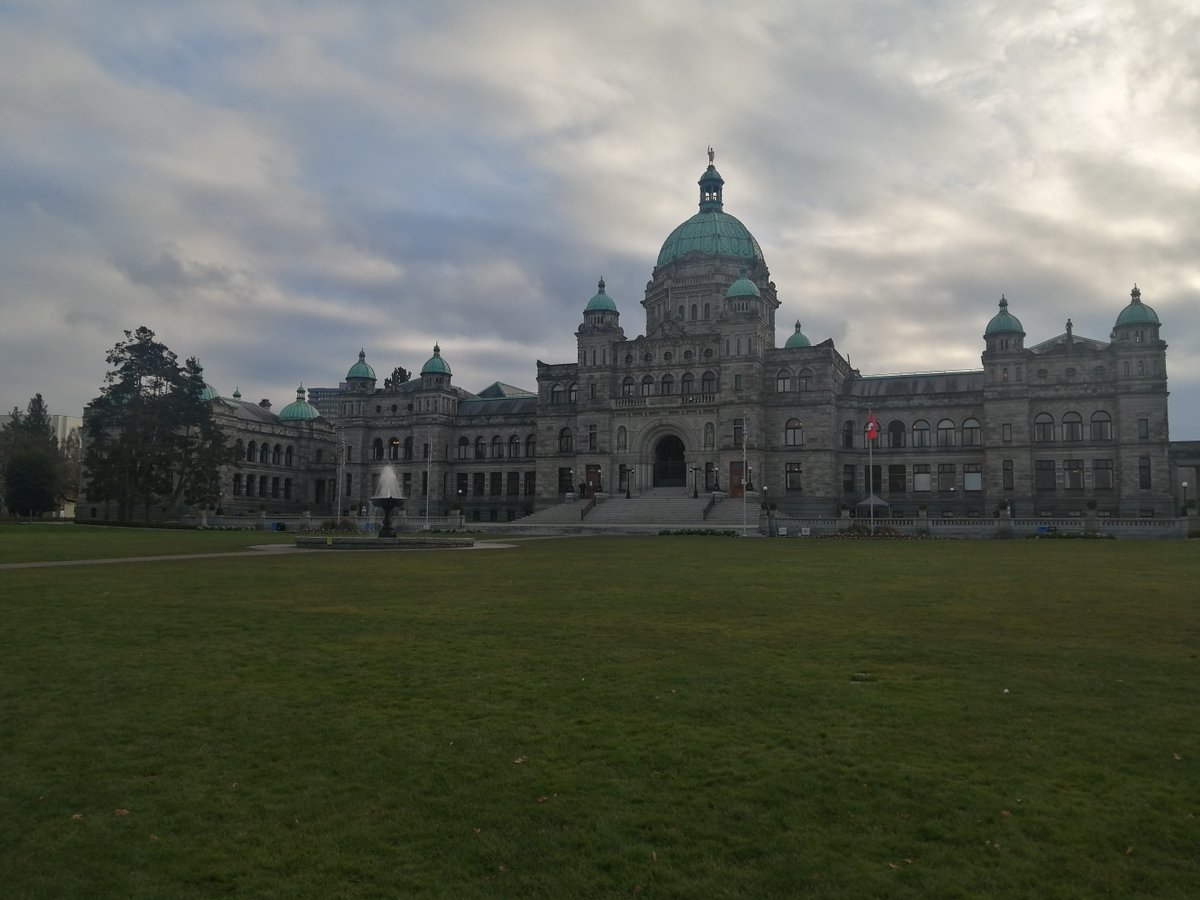 @cancercantwait tweet media