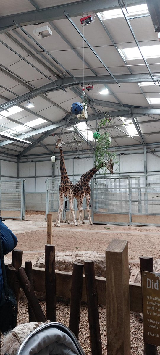 Sustainable Schools Leicester tweet media