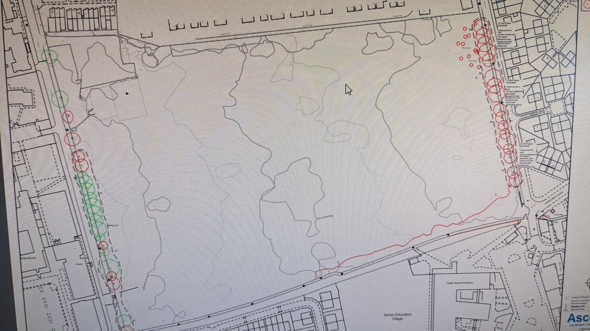 LevenshulmeNews tweet media